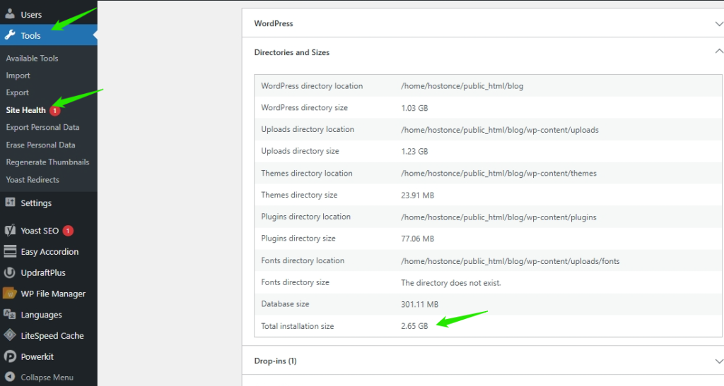 Check Disk and Database Usage with Site Health Tool