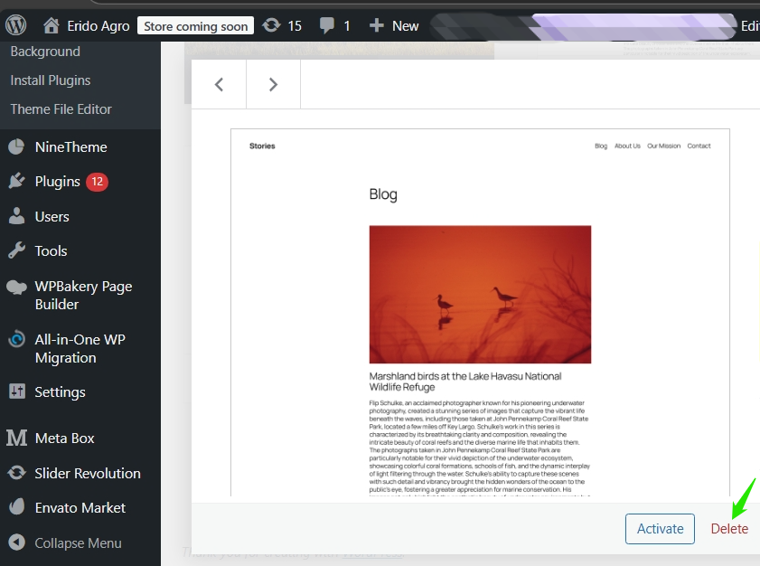 Clearing up inactive themes