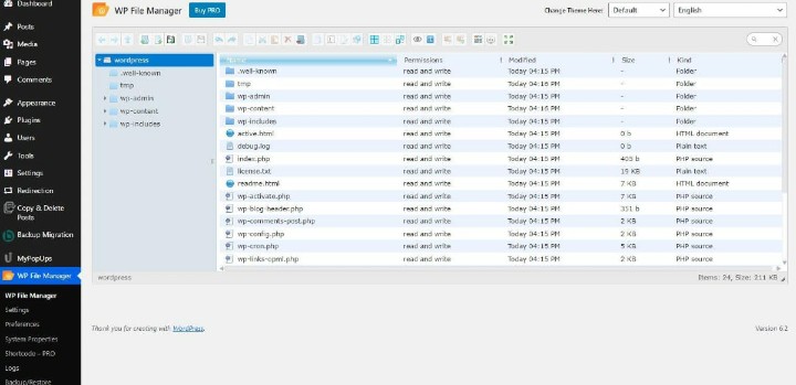 WordPress dashboard showing the WP File Manager