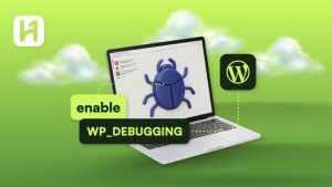 WP debug guide