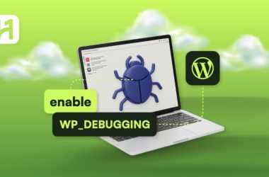 WP debug guide