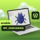 WP debug guide