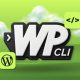 what is wordpress cli