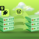 WordPress Migration Plugins