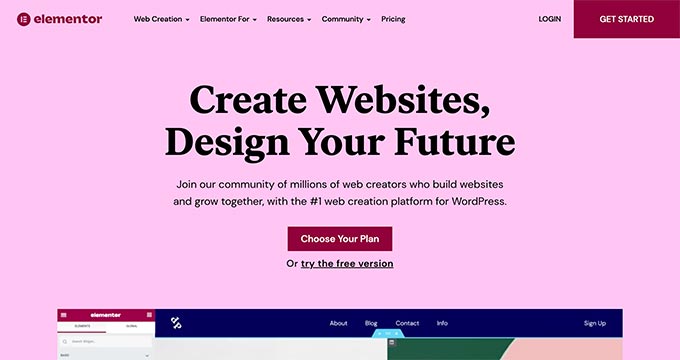 Elementor Pro (Advanced (WordPress Page Builder)
