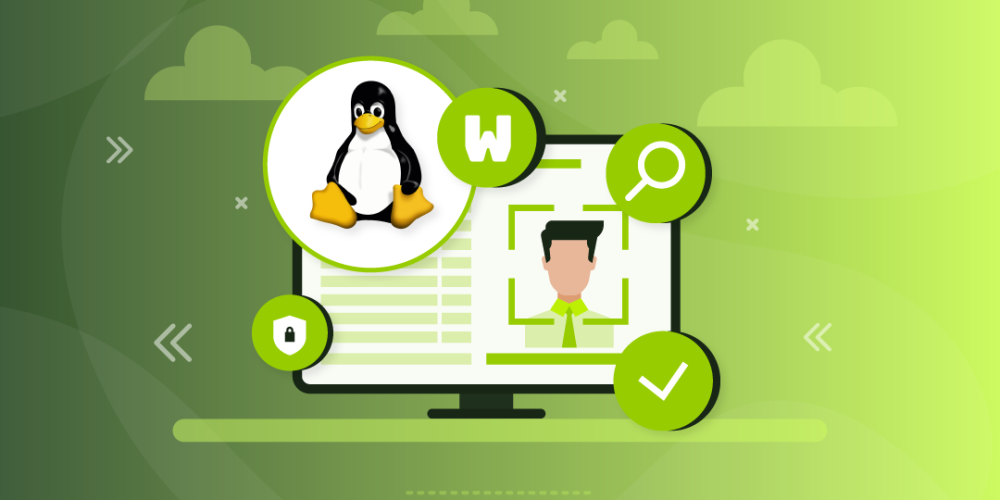 Monitor Users and System Activity with the Linux w Command