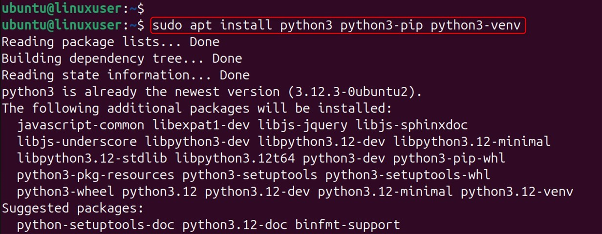 set up python environment