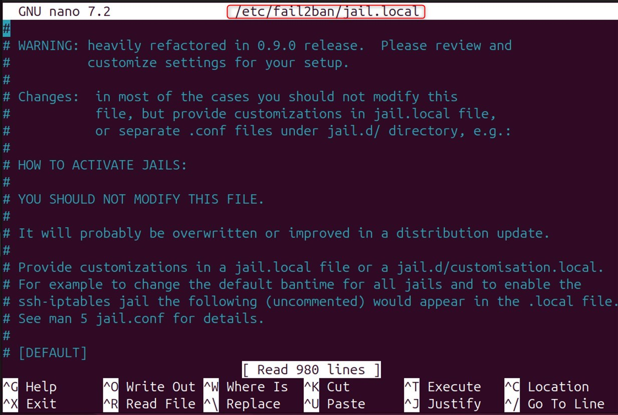 modify jail local file
