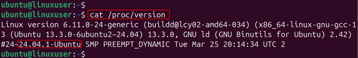 check version using proc version directory