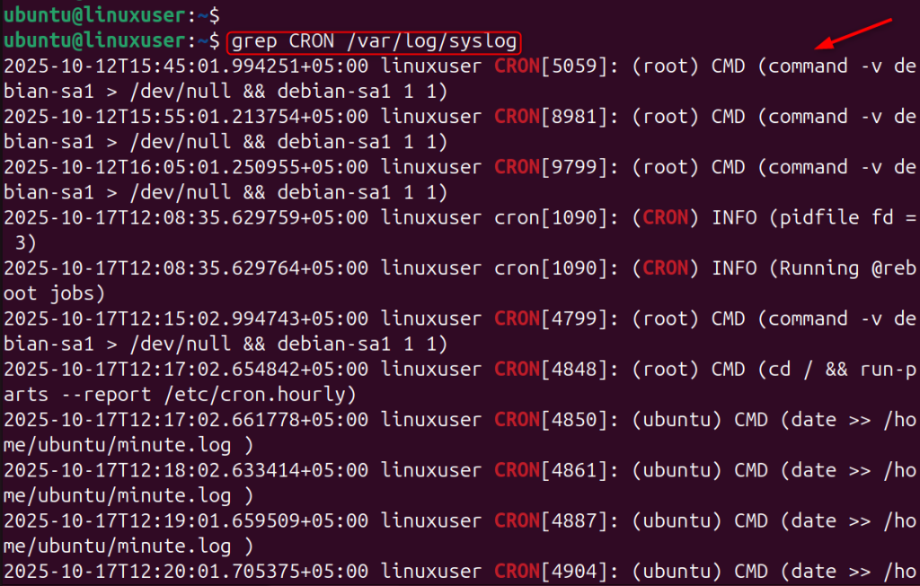 Check Logs and Verify Cron Jobs