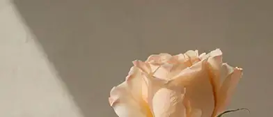 App background